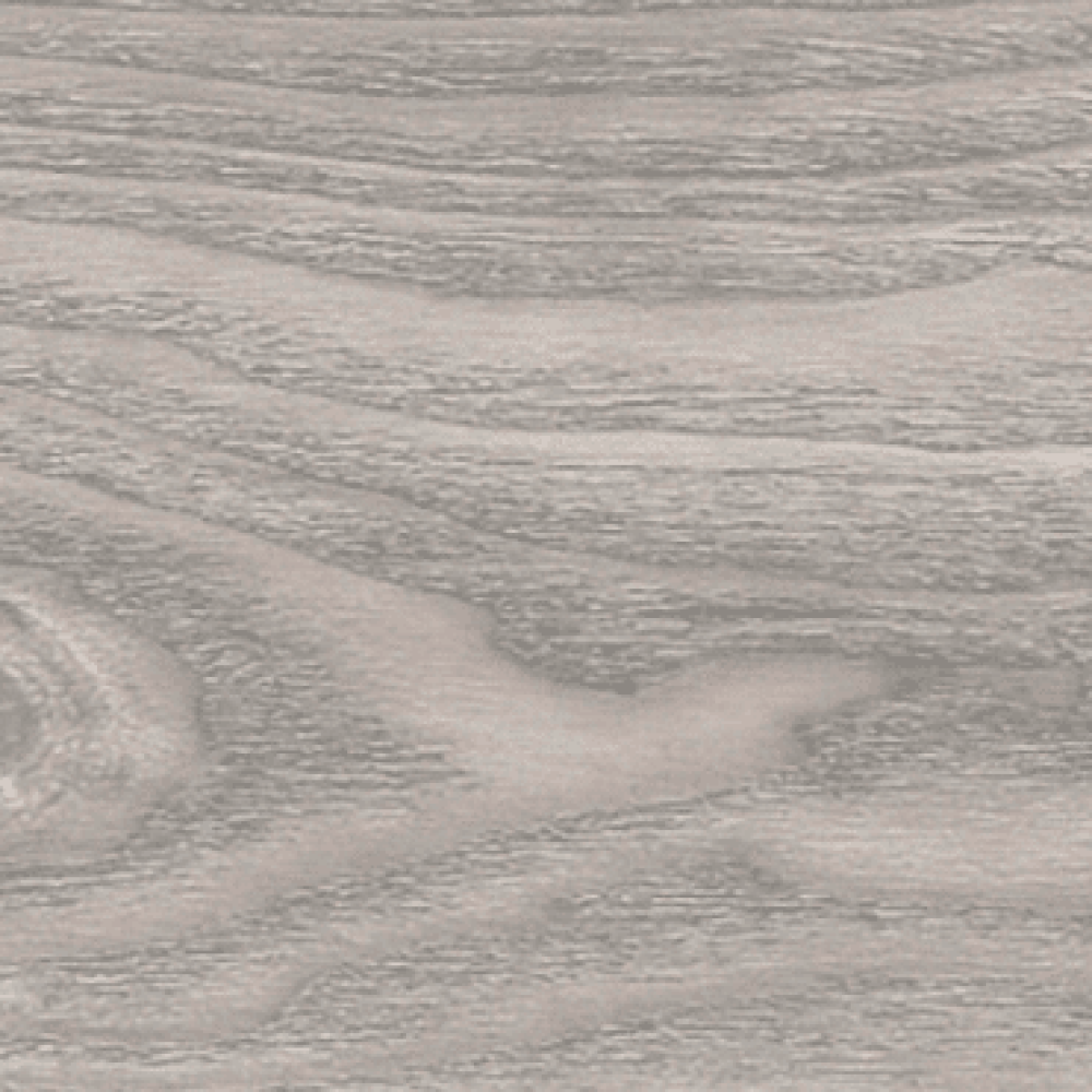 Tundraeiche silbergrau